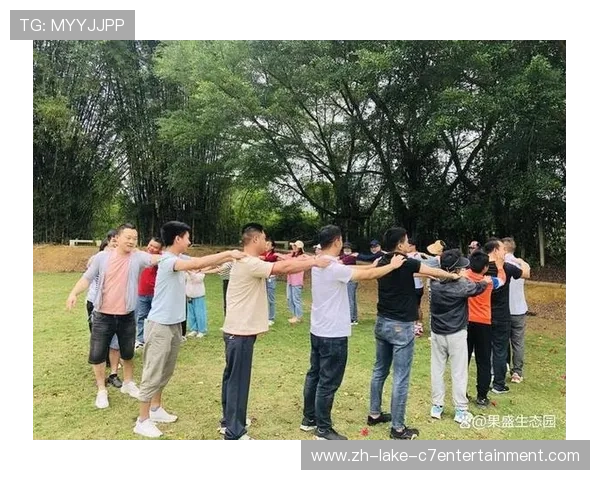 杭州排球队阵地战解析：战术创新与团队协作的完美结合